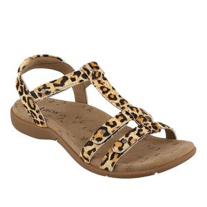 Women's Taos Trophy 2 Tan Leopard Print size 8